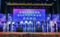 青春赴龙岗 筑梦创未来丨龙岗区2026年五四青年节主题活动圆满举办!