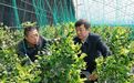 孙成坤深入鸡冠区调研