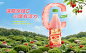 满瓶享维C,沁爽有活力 三得利针叶樱桃味维C饮全新上市