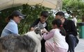 开业即爆满、亲子游排长队,抚州“五一”县域消费“热辣滚烫”