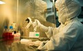 破除选择焦虑:手足口病疫苗的Vero细胞与人二倍体细胞工艺,同等安全有效
