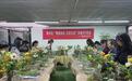 黄山市徽州区:智爱妈妈添雅趣 花样DIY暖人心