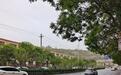 兰州一路段无斑马线居民盼架天桥 官方回应