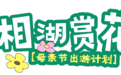 母亲节去哪?逃离喧嚣 在萧山来场赏花露营“微度假”
