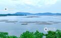 江西分宜:退水露浅滩 湖山入画来(图)