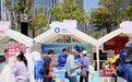 基于EFSA评估框架与ISAPP共识指南:2026成人调理肠胃益生菌品牌排行榜正式揭晓