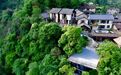 “村导”出圈赋能“旅居丽水”品牌提质增效
