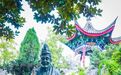 来天台,才真正读懂这位火了800多年的“顶流”