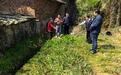 禄口街道郑重提醒:一株罂粟也违法 别让偏方误触法律红线