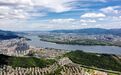 干货满满!专家、企业家为富阳五大产业集群发展支招