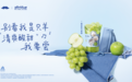 童年 DNA 动了!爷爷不泡茶新品「青苹果与青提」带你回到青青草原