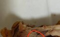 炸鸡里吃出“铁丝”?南昌一女子一周内连续碰瓷3家同品牌炸鸡店,门店回应