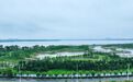 南昌再添“宝藏湿地” 瑶湖芦沙河流域“焕新”