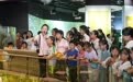 2026 国际博物馆日|陕西自然博物馆免费开放 双科普盛宴点亮长安