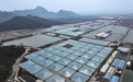 向海图强开新局 一季度台州海洋经济加速跃升