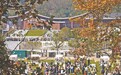 南昌以青春经济激活城市发展新动能 让青年敢消费、愿创业、能扎根