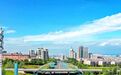 划重点！青岛市委书记的“自贸片区行程”