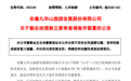 安徽一上市公司高管被立案审查调查并实施留置