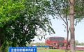 治愈田园!闫家岗农场闫荷景区6月1日正式开园