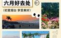 顶级浪漫!烟台满城花“蔷”美翻了