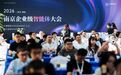 300家企业赶来南京,只为这场AI发布会