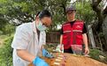 宁波首单!余姚杨梅有了 “安全盾”
