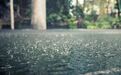 今年暴雨为何来得又早又猛?专家解读→