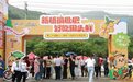 小枇杷撬动大市场,新山海谱写新华章 第二十届象山(新桥)枇杷文化旅游季甜蜜启幕