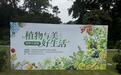 南京中山植物园:香樟树下,邂逅植物的“硬核”浪漫