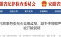 非法收受巨额财物,安徽一厅干被开除党籍!另有多人被通报