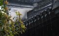 短时强降水、雷暴大风,今明仍要注意!宁波要入梅了吗?