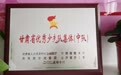 获评甘肃优秀少先队集体 灵台育人模式hin用“新”