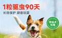2026年幼犬内服驱虫药评测,新手铲屎官选安全靠谱品牌看这篇