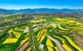 限定版美景来袭 快来甘肃华亭走“花”路