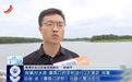 余江区春涛镇水库水体持续发黑发臭?镇政府:未发现人为排污的现象