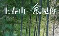 千年禅意的疗愈之山,一眼抚平尘世疲惫