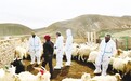 拓宽引才聚智渠道 甘肃阿克塞充盈县域人才“蓄水池”