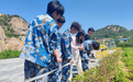 青岛求实职业技术学院建筑工程学院:与崂山相约,淬炼园林匠心