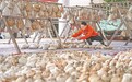 江西完成1∶250000多目标区域地球化学调查项目