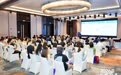 极限运动能成为南京新标签吗?一场座谈会给出答案
