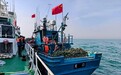 山东多举措开展伏季休渔海上执法专项行动,查获12艘违规渔船