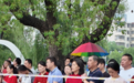 5.07万人赴考!今天的宁波,全员“红色”