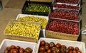 深挖药食同源价值 赋能国民健康膳食|昱小农打造高品质生态番茄产业