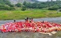 九江湖口:集中销毁非法烟花爆竹