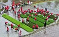 宜丰县：插秧比赛（图）