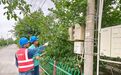 乌什县:“隐患随手拍”筑牢电力“防护网”