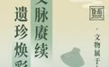 文化和自然遗产日丨中盐博“文脉赓续 遗珍焕彩”系列活动精彩来袭