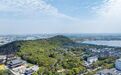 无锡东港镇山联村:烟火气如何变成了吸引力?