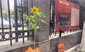 萌娃穿剪纸状元服家长种向阳花 高考陪考团仪式感拉满