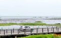 鄱阳湖水位稳步上升 永修县“中国最美水上公路”将重现江湖